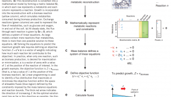 What is flux balance analysis? What is flux balance analysis?