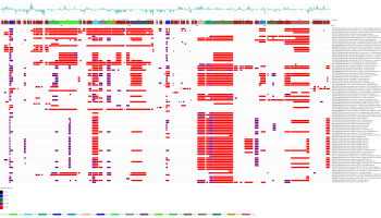 pxocgx01_blastx against multiple related xanthomonas species pxocgx01_blastx against multiple related xanthomonas species