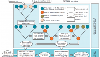PICRUSt-workflow PICRUSt-workflow